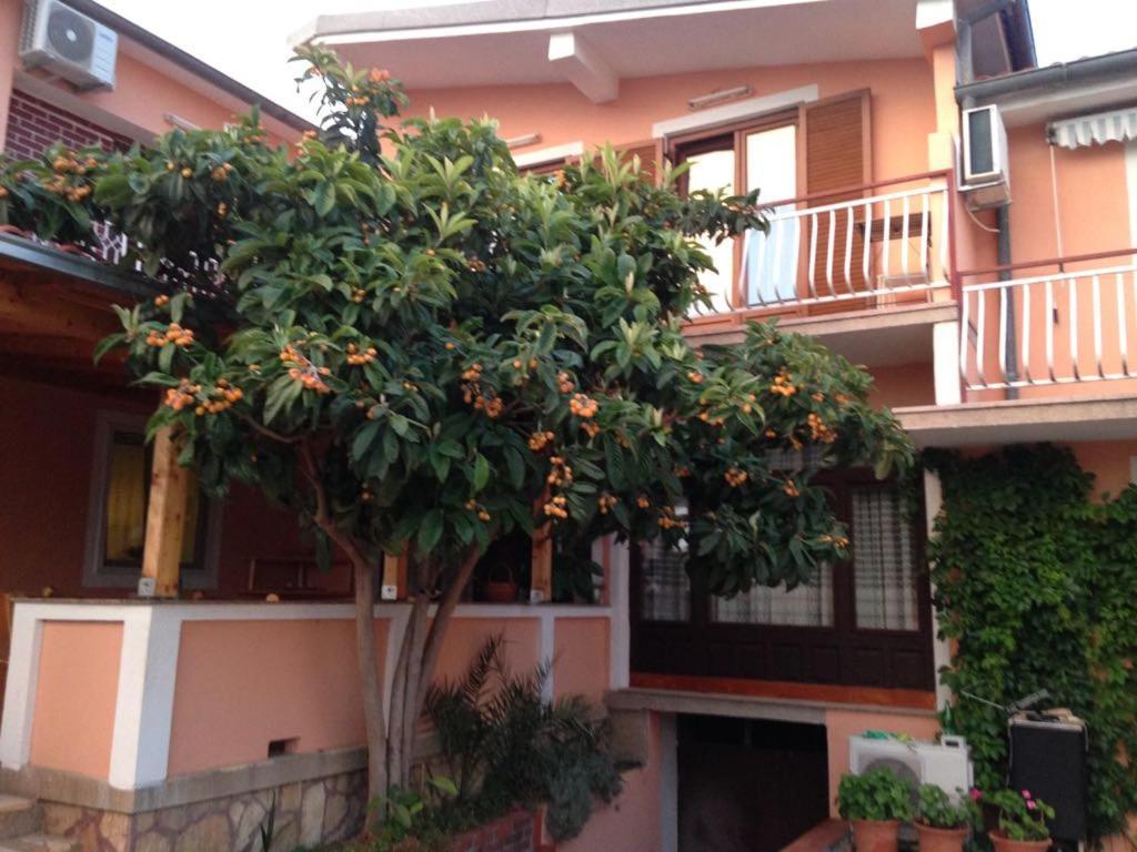 Apartmani Vilma Pakoštane Exterior foto